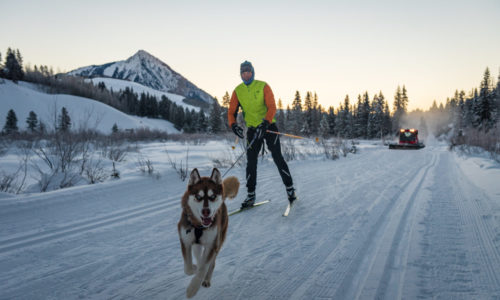 Nordic Skiing with Dogs in Crested Butte