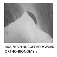 Mountain Nugget Bodywork logo