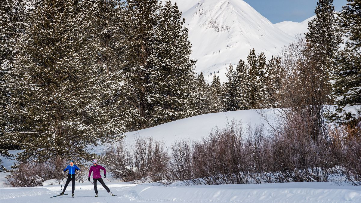 Skate skiers on a groomed trail in Magic Meadows system near Crested Butte