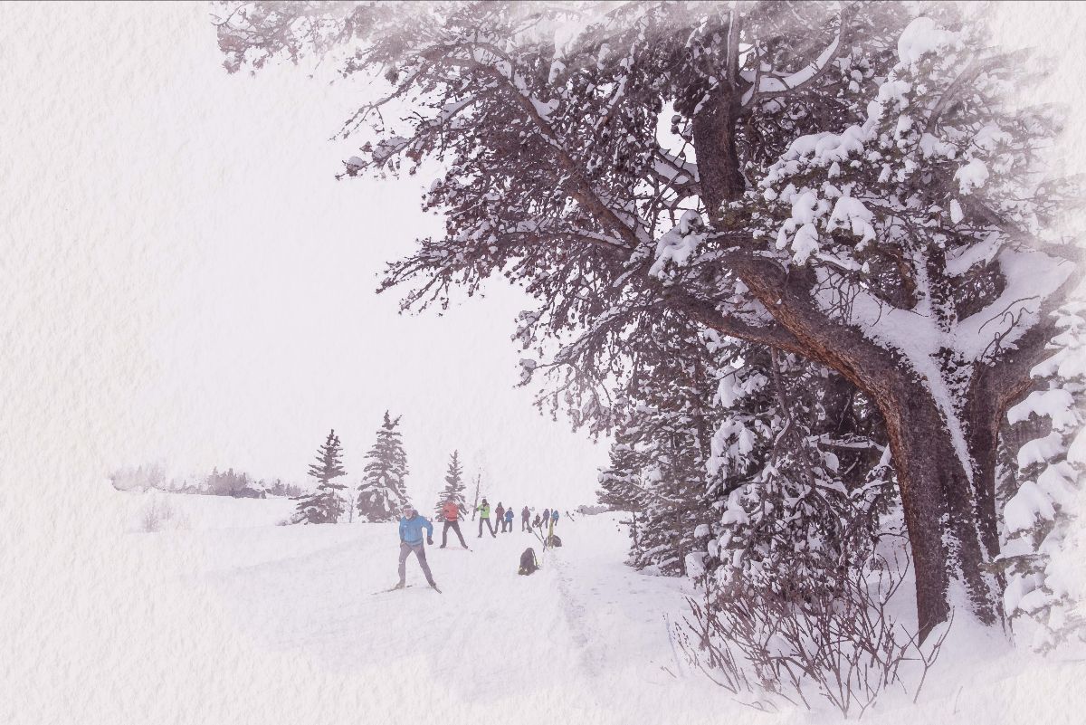 Skiers on a snowy day